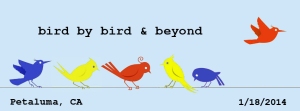 Check out Bird by Bird & Beyond with Anne Lamott!
